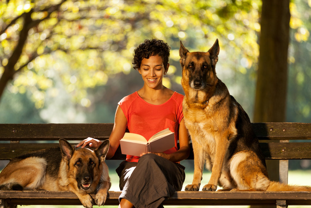 Depositphotos_Pet Sitter reading to german shepards.jpg